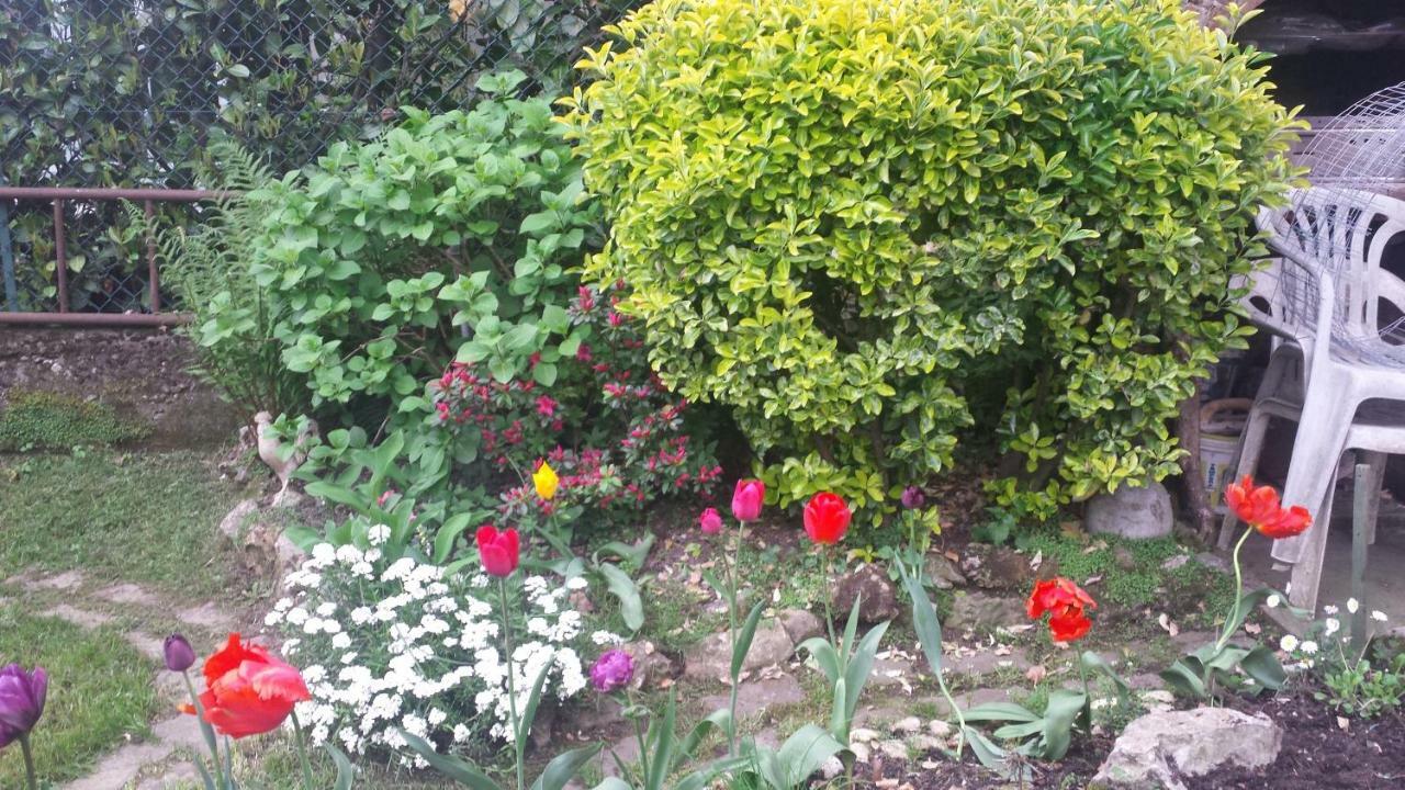 B&B Il Patio Bergamo Eksteriør billede